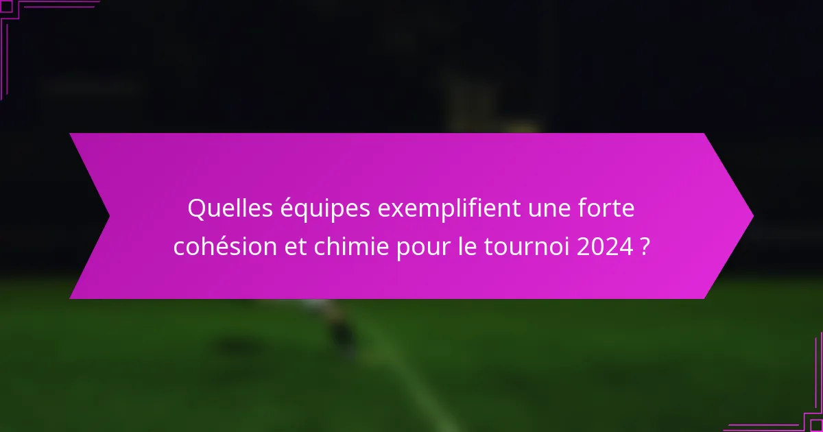 Quelles équipes exemplifient une forte cohésion et chimie pour le tournoi 2024 ?